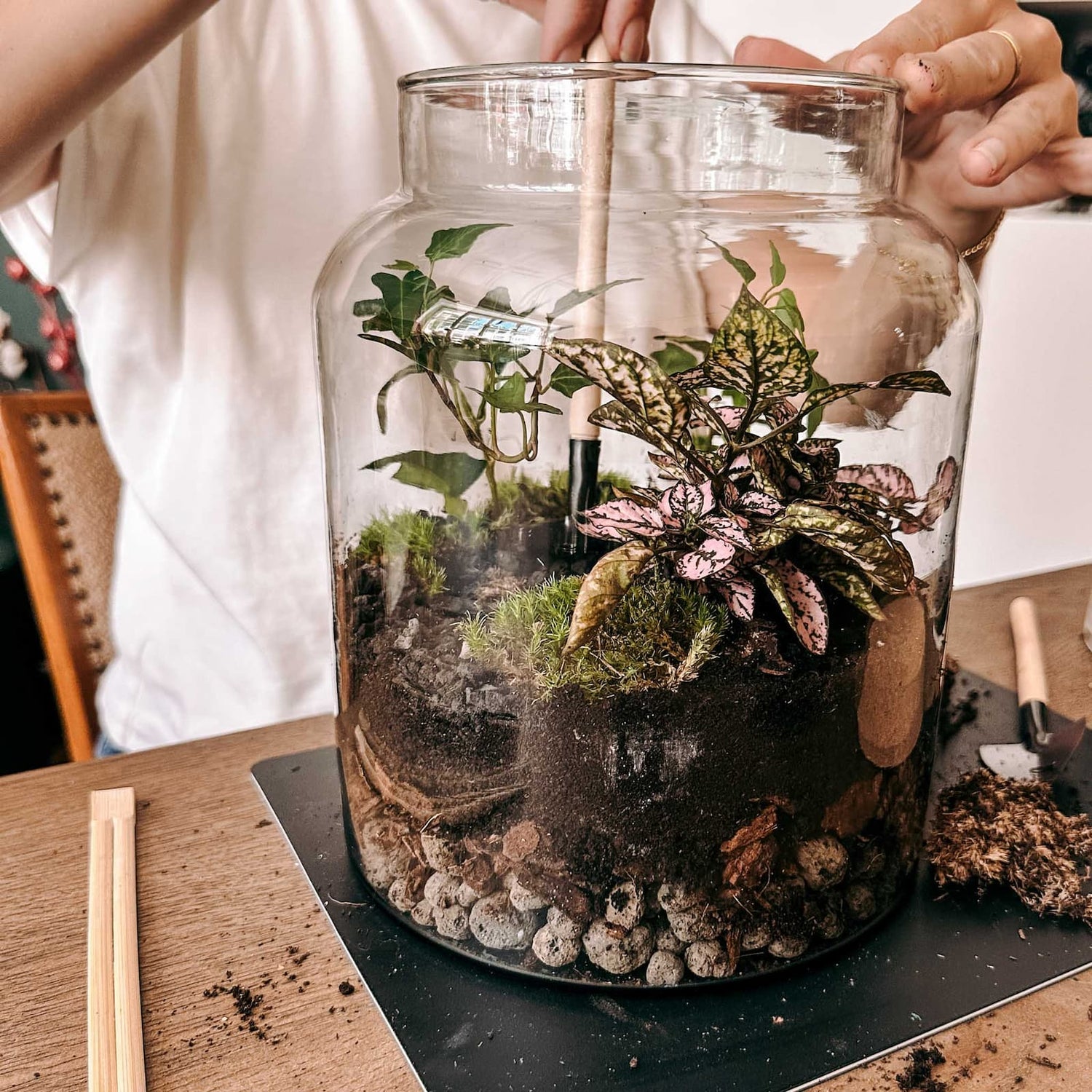 Teilweise gefülltes Glas: Aufbau des Ökosystems mit Erde, Steinen und Pflanzen – mini-ökosystem.