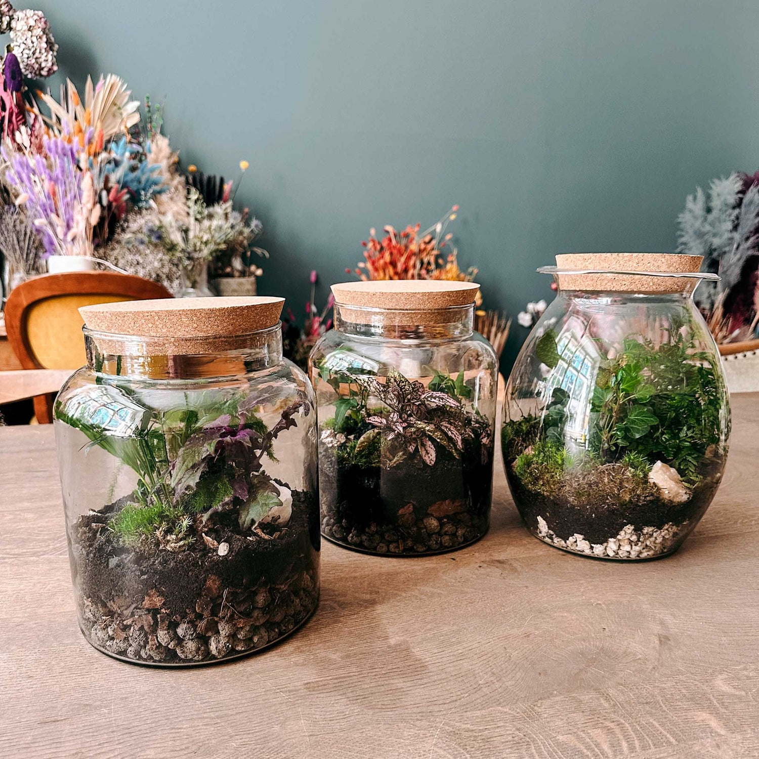 Fertiger Flaschengarten auf Tisch – autarkes Ökosystem im Glas mit dekorativen Pflanzen.