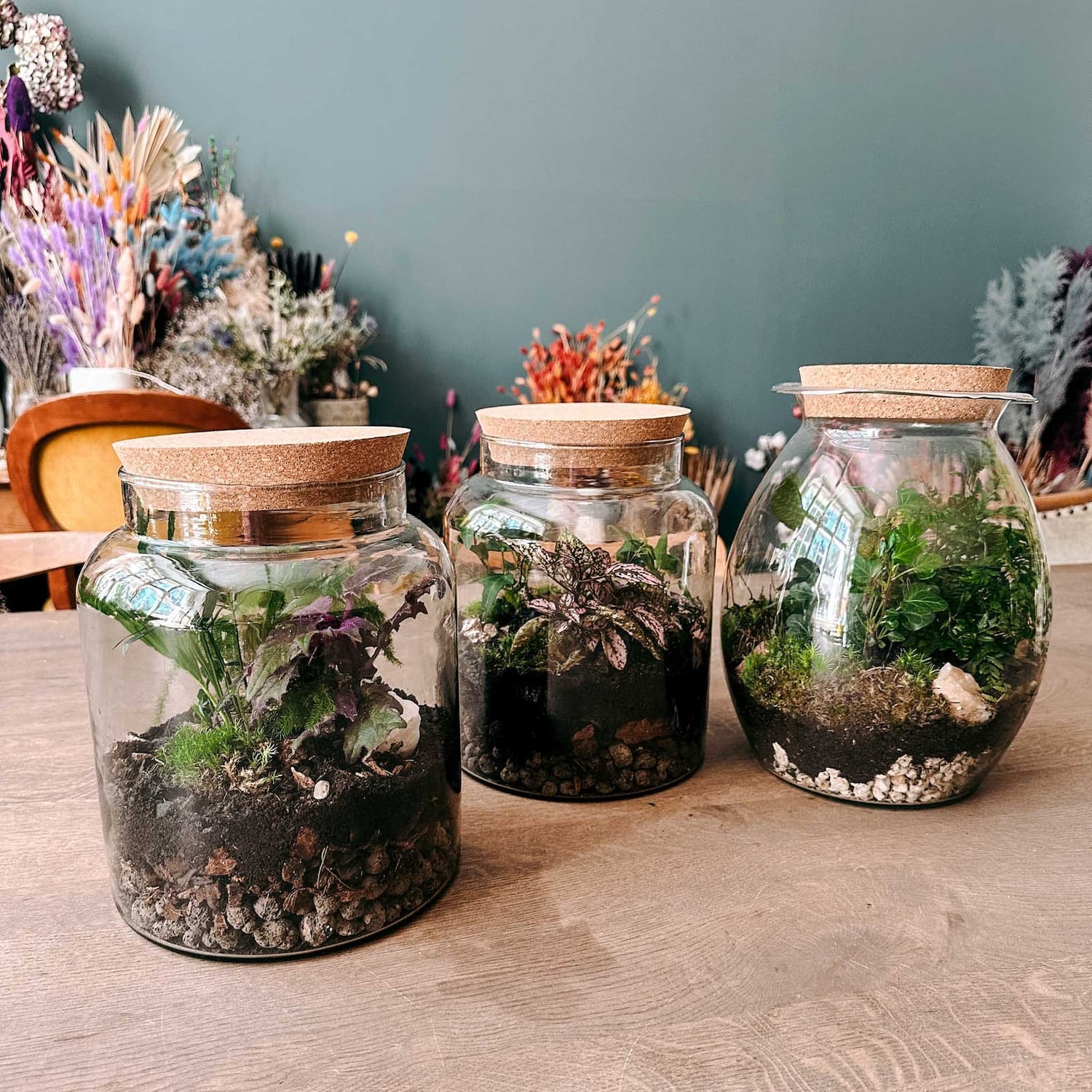 Fertiger Flaschengarten auf Tisch – autarkes Ökosystem im Glas mit dekorativen Pflanzen.
