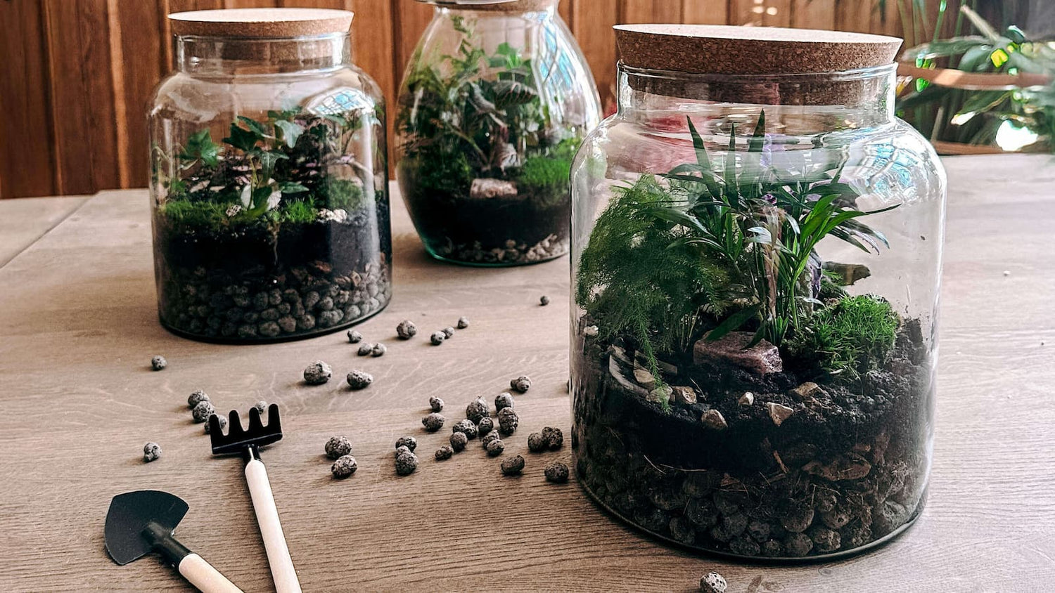 Flaschengarten DIY im GRIMMS GARTEN Workshop – drei Mini-Terrarien auf Tisch, perfekte kreative Pflanzen-Deko.