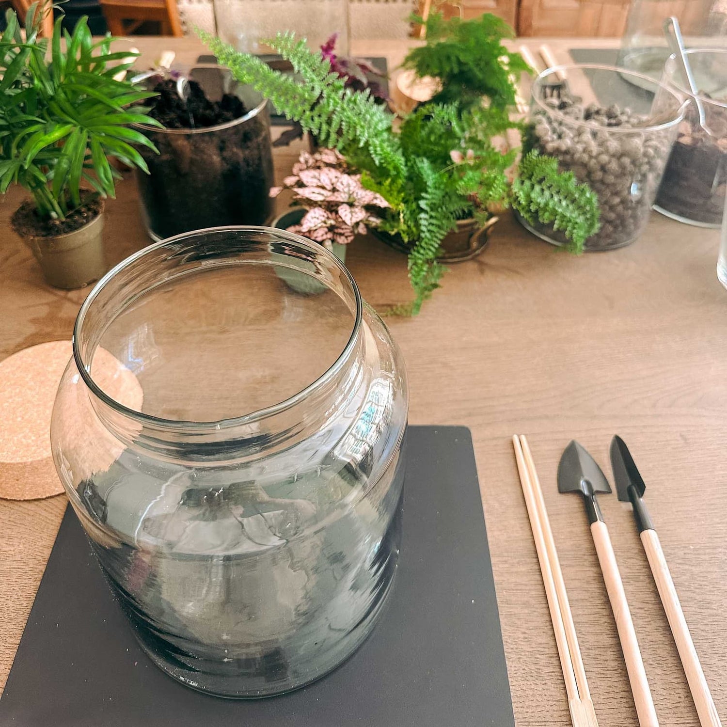 Materialien für Flaschengarten: Erde, Steine und Pflanzen im Workshop bereitgelegt.