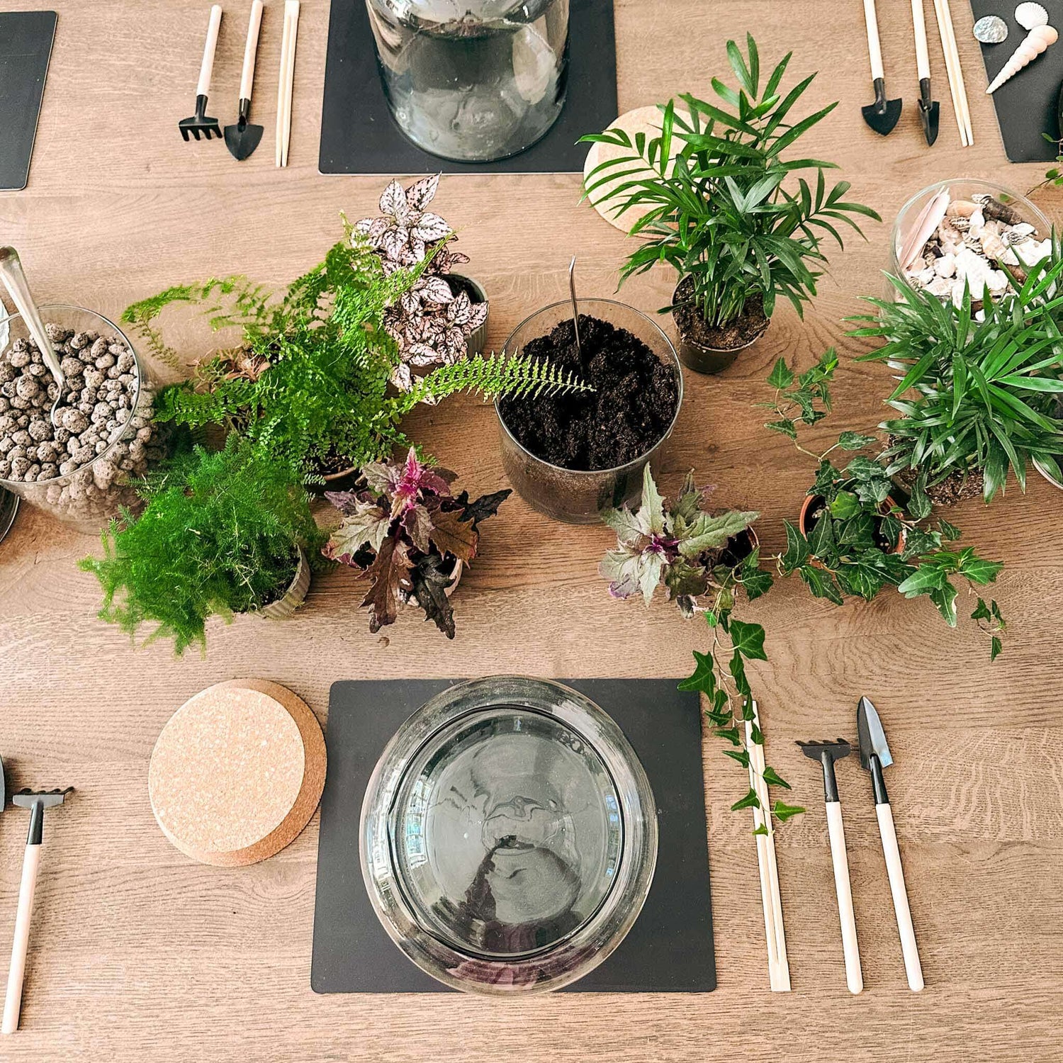 Verschiedene Materialien wie Steine, Erde und kleine Pflanzen liegen für Workshop bereit – flaschengarten selber machen.