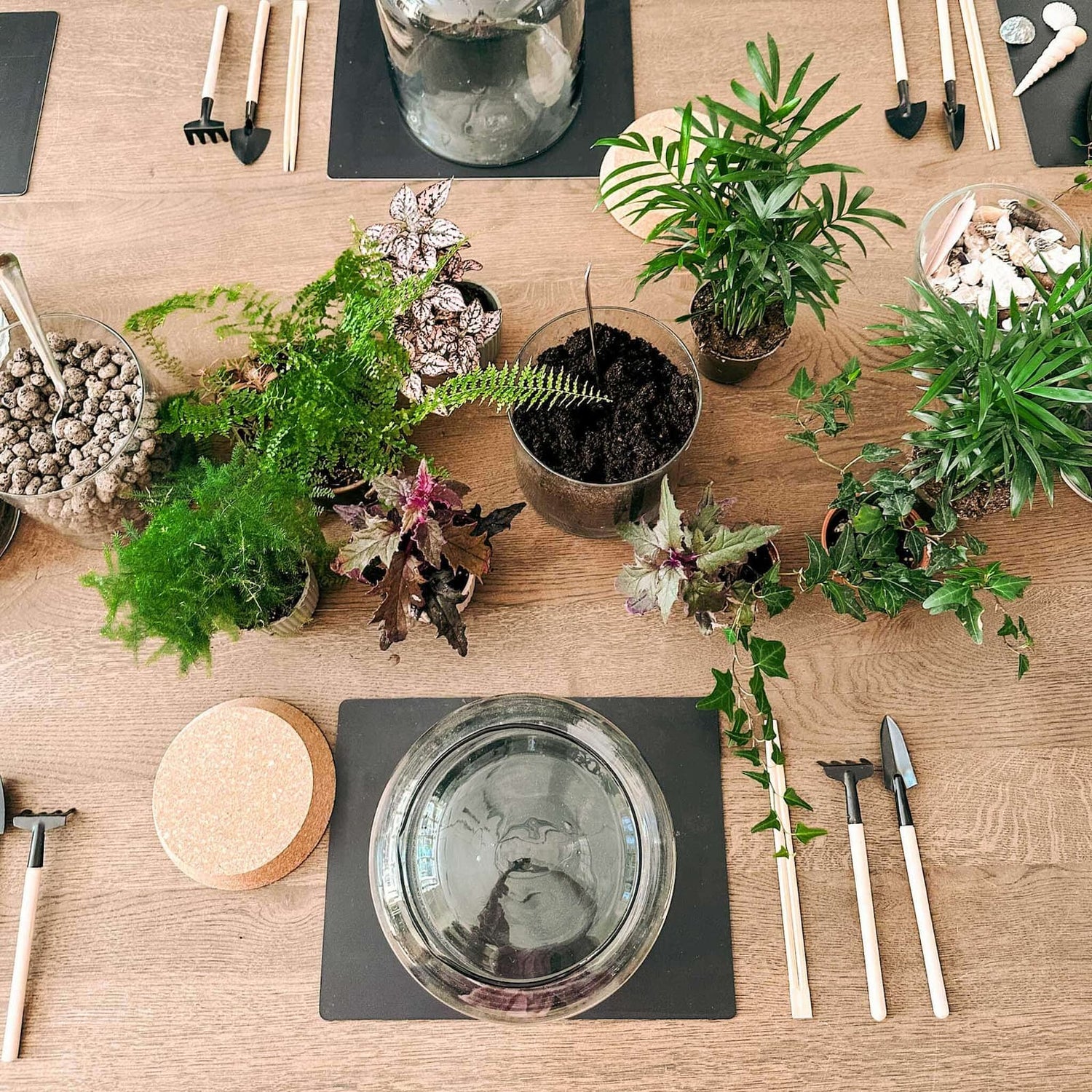 Verschiedene Materialien wie Steine, Erde und kleine Pflanzen liegen für Workshop bereit – flaschengarten selber machen.