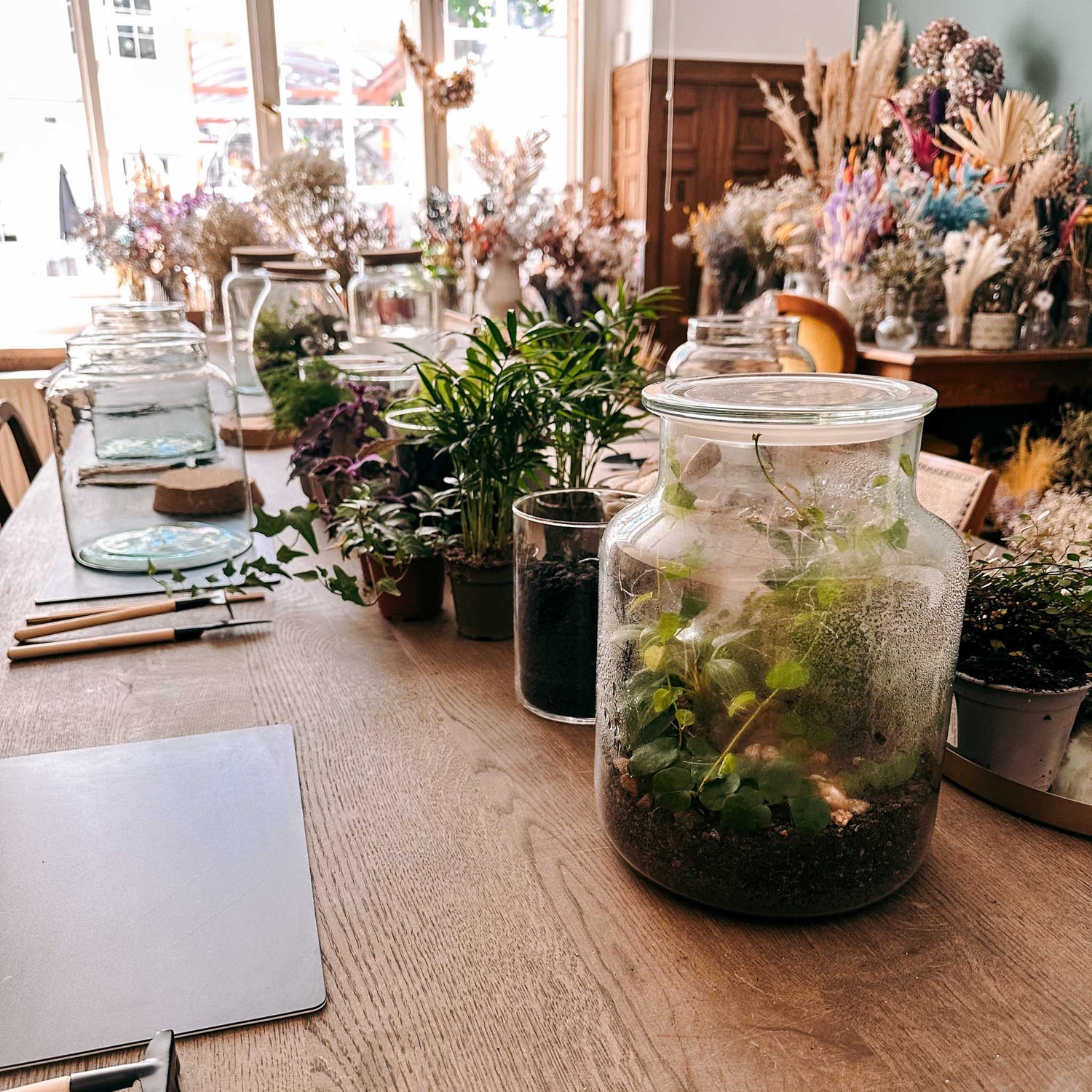 Tisch mit mehreren Arbeitsplätzen und Materialien wie Erde, Steine und Pflanzen für Flaschengarten-Workshop – terrarium selber machen.