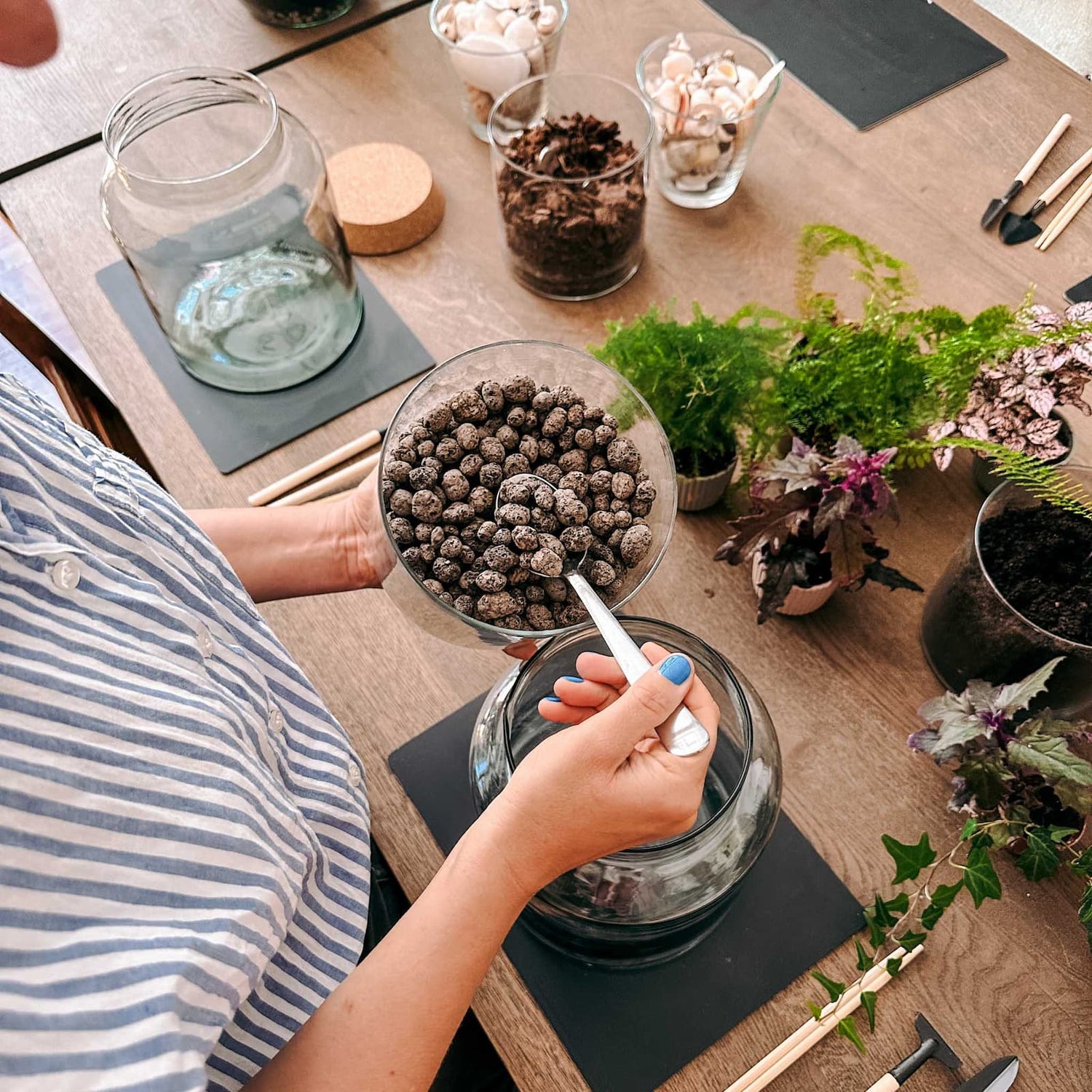 Hände füllen Steine in Glas für Flaschengarten auf – mini-ökosystem, terrarium selber machen.