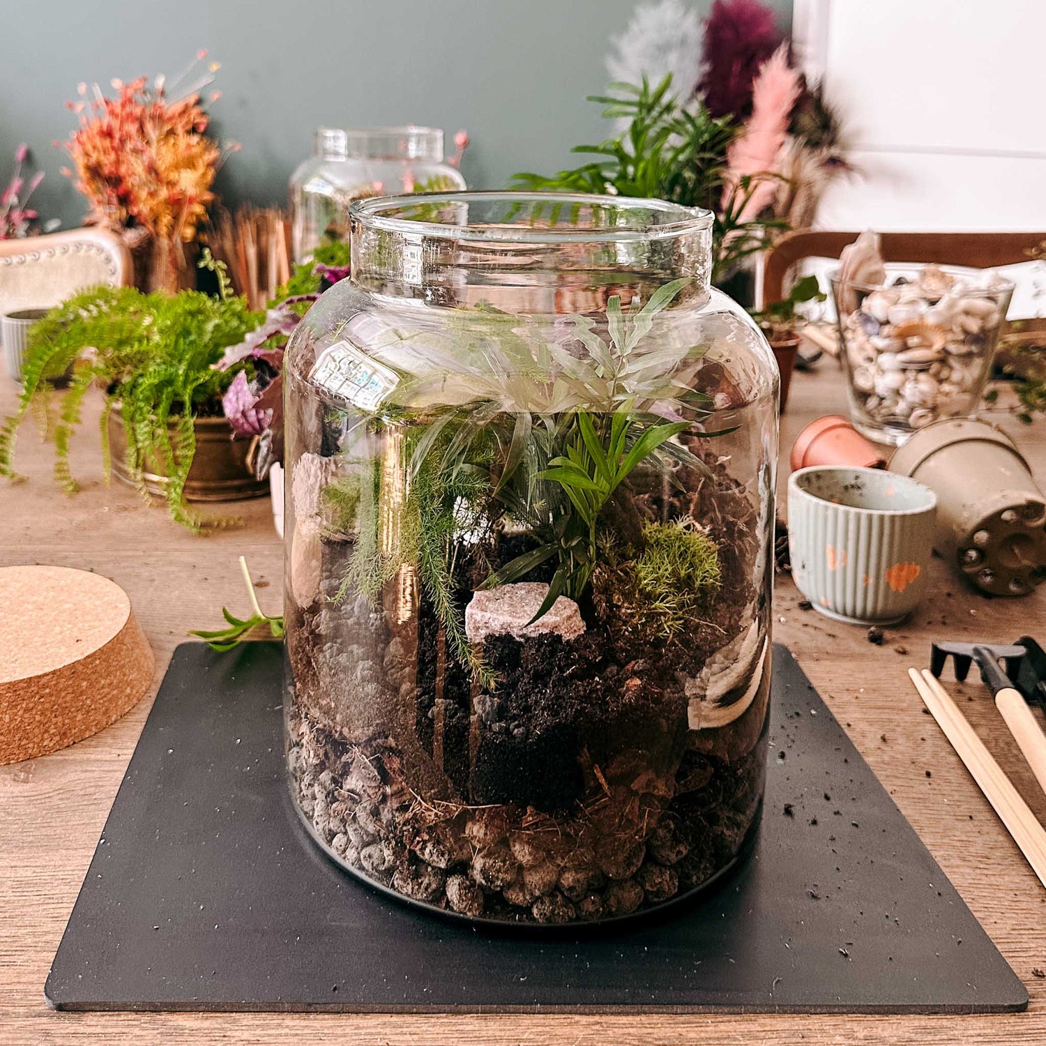 Nahaufnahme von Pflanzen im Glas, kleine Details des Flaschengartens sichtbar – pflanzterrarium ideen.