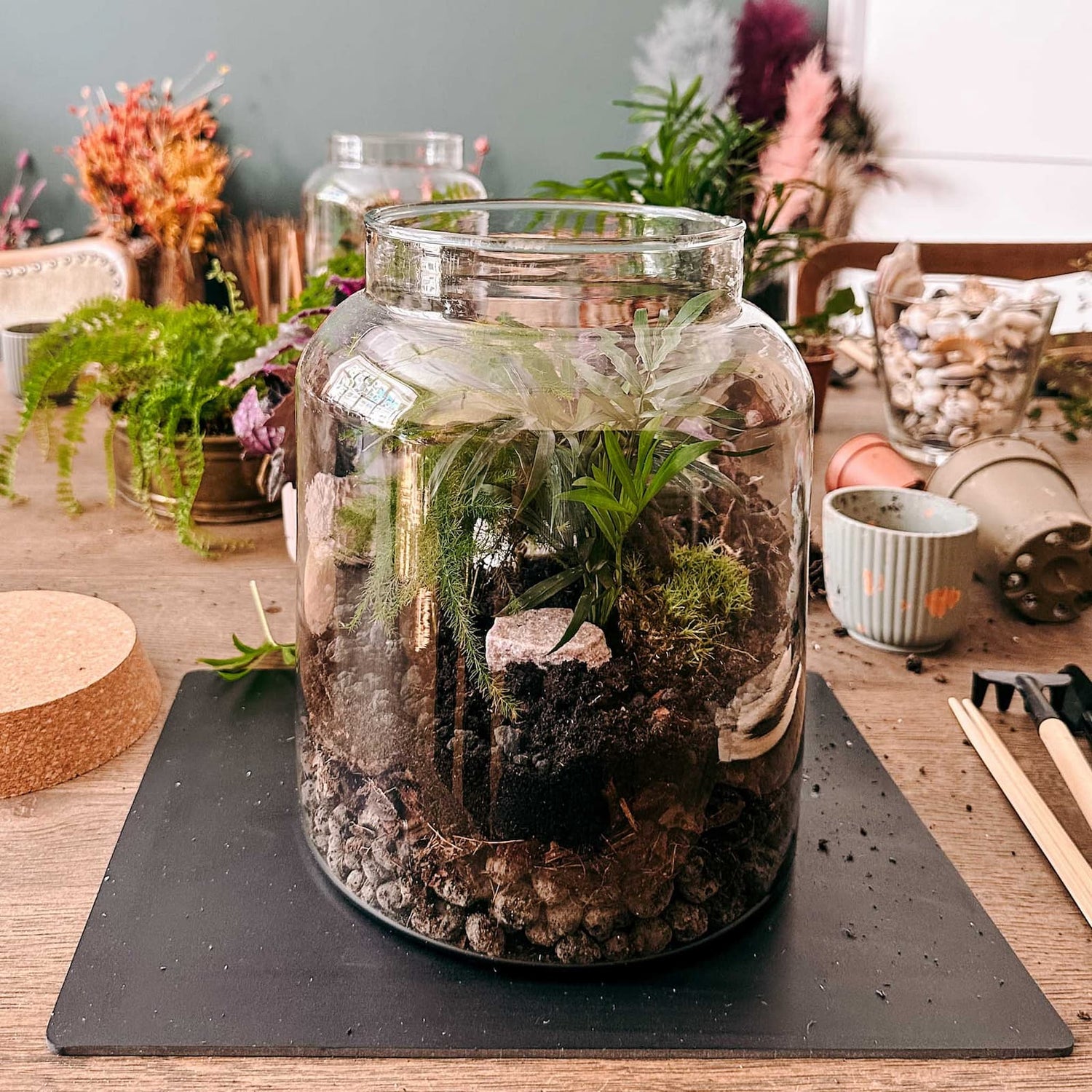 Nahaufnahme von Pflanzen im Glas, kleine Details des Flaschengartens sichtbar – pflanzterrarium ideen.