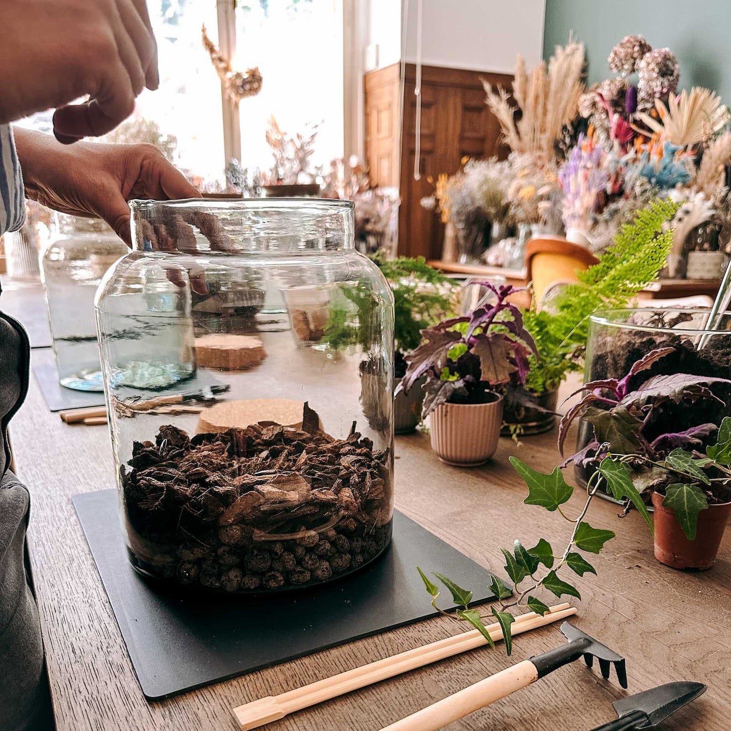 Pflanzenglas auf dem Tisch mit Tonkugeln und Mulch, Pflanzen und Werkzeige im Hintergrund