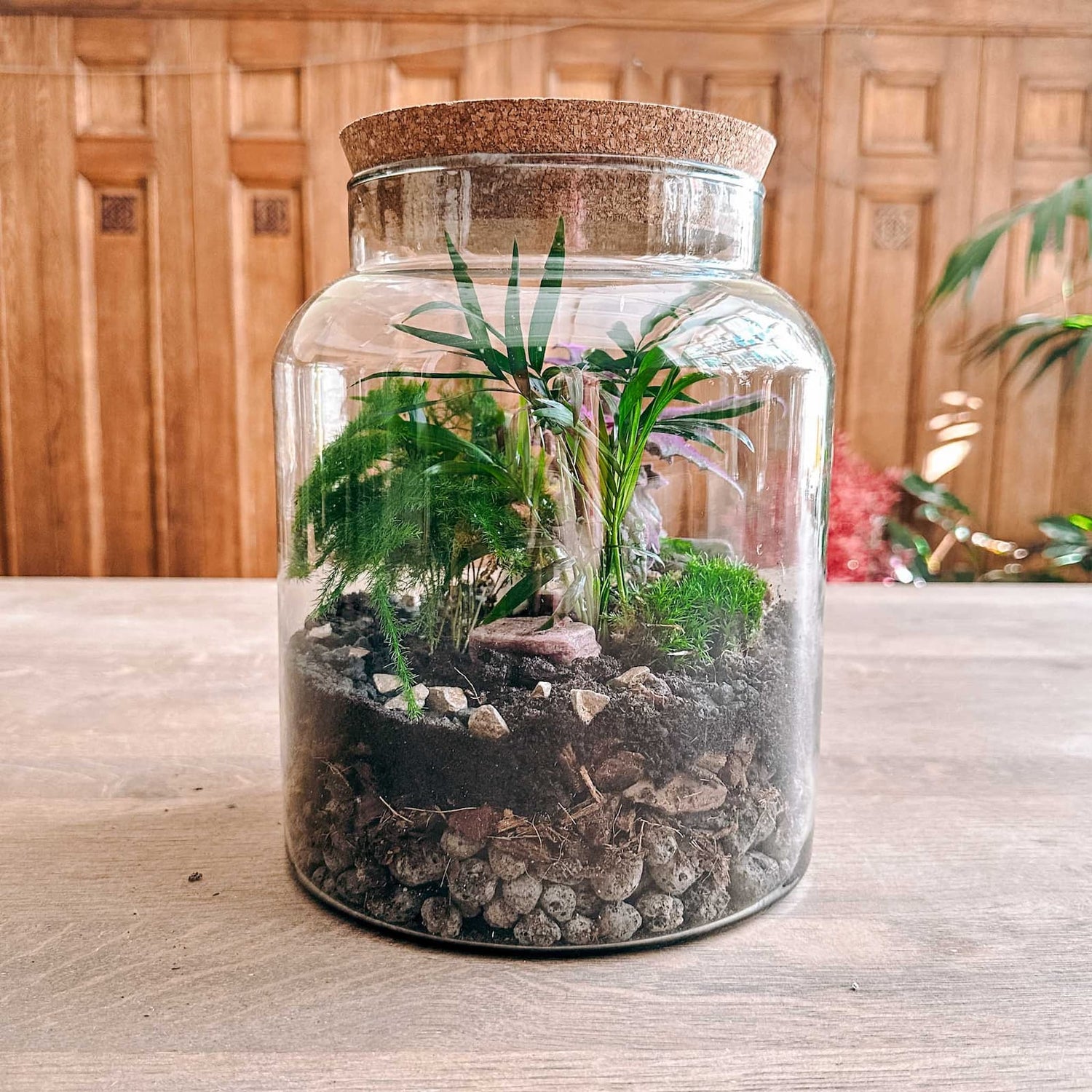 Geschlossener Flaschengarten auf Holztisch mit Pflanzen und Steinen – mini-ökosystem, terrarium selber machen.