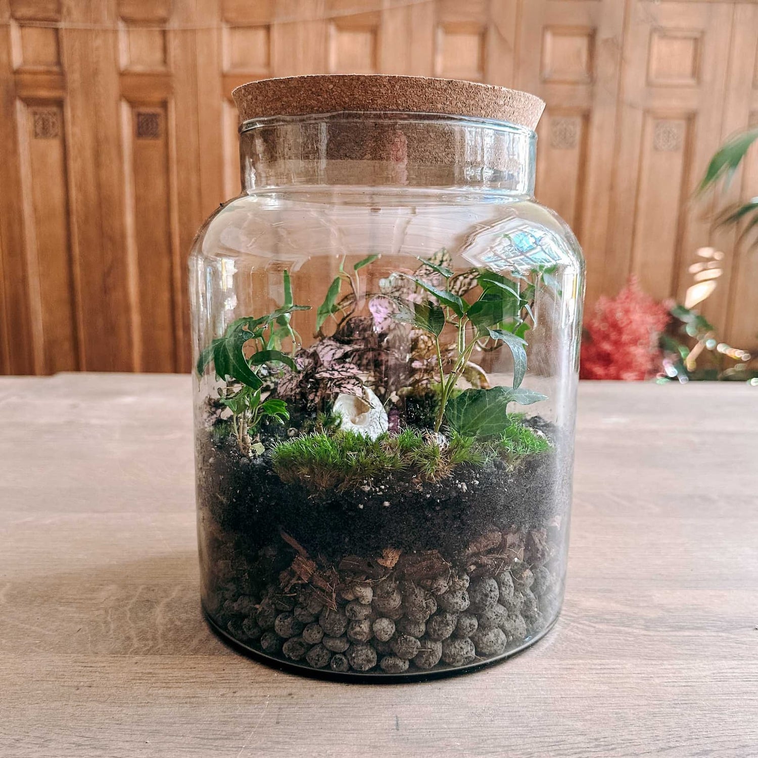 geschlossenes Pflanzenterrarium mit Korkdeckel und Pflanzen sowie Moos auf Holztisch