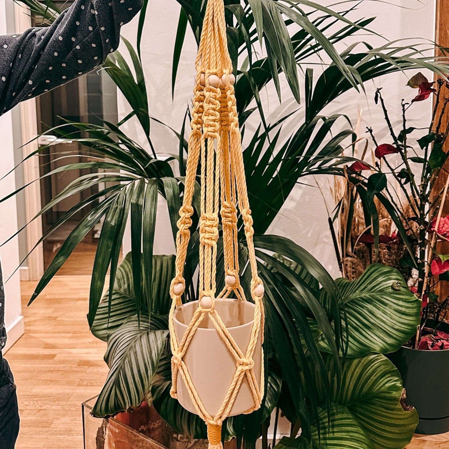 Arm hält Makrameeampel mit Blumentopf und Pflanze – DIY Makramee Workshop, Blumenampel selber machen.