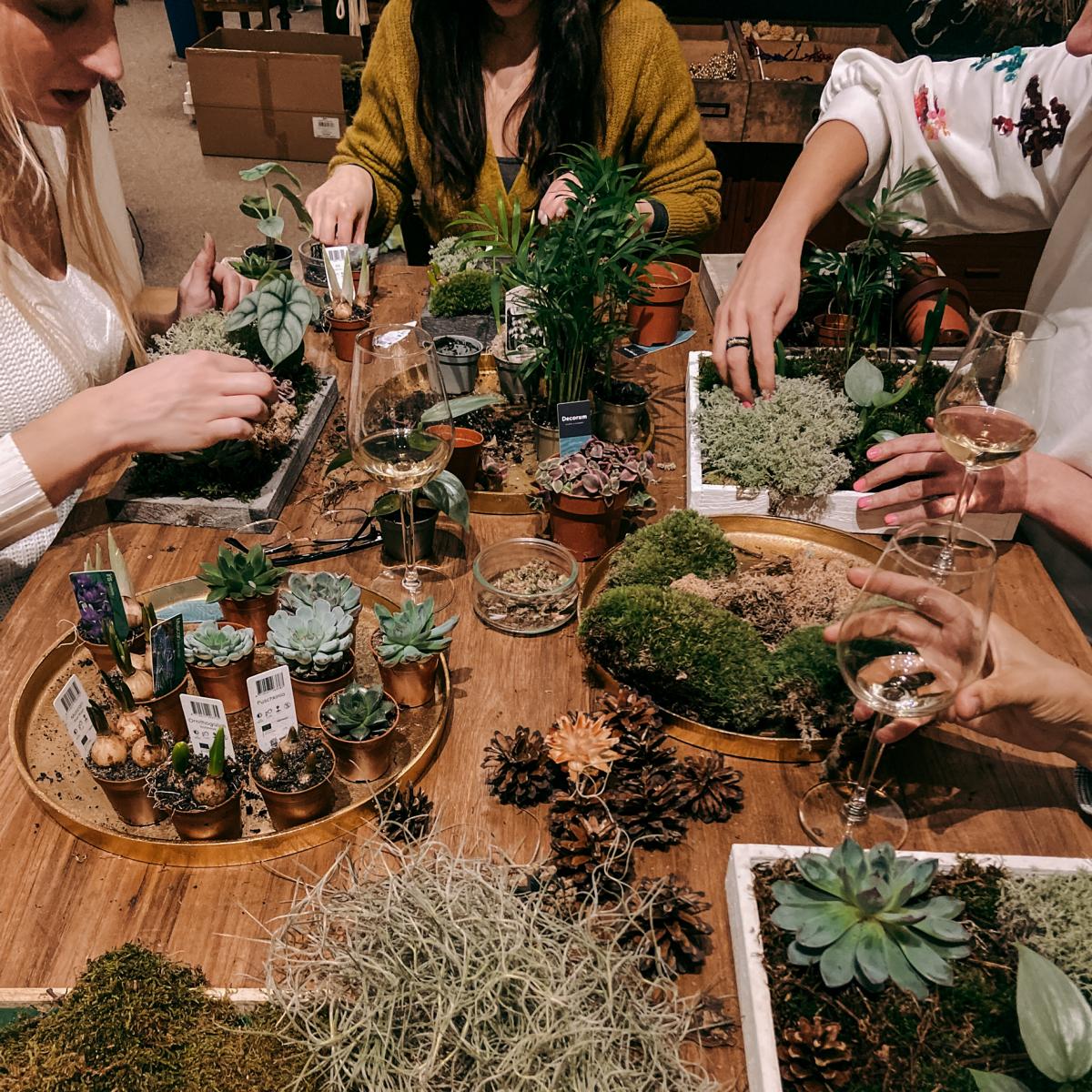 Pflanzenbild - Teamevent