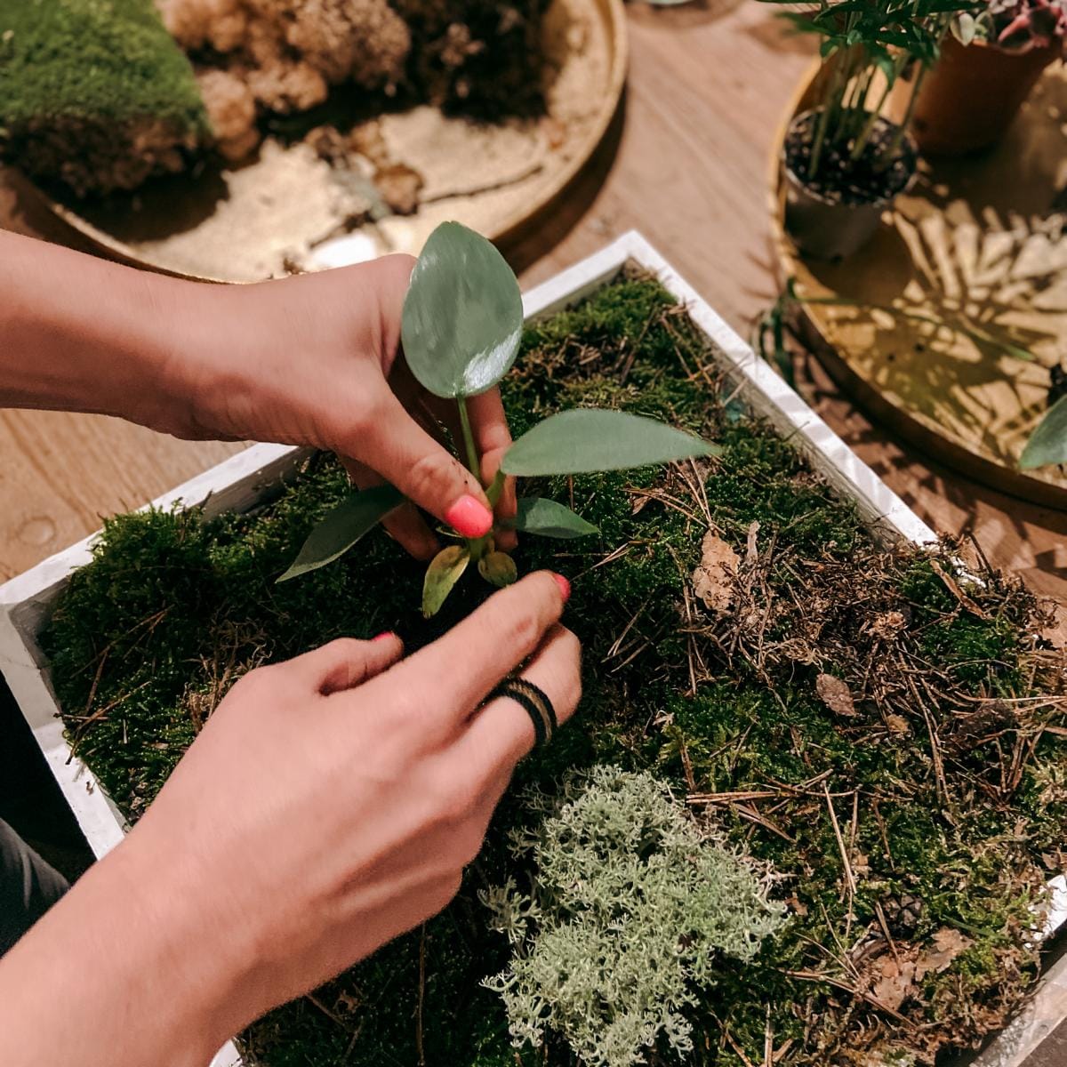 Plant art - team event