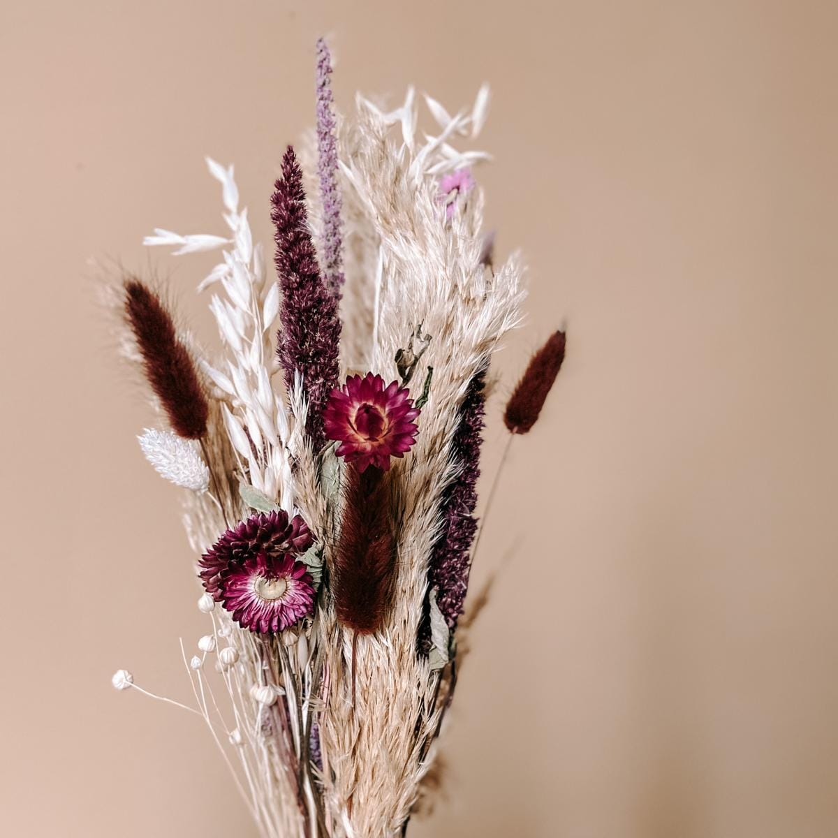 Nahaufnahme Trockenblumenstrauß Rosenrot, rote und weiße Blüten, dekorativer Blumenstrauß für Tisch oder Raum.