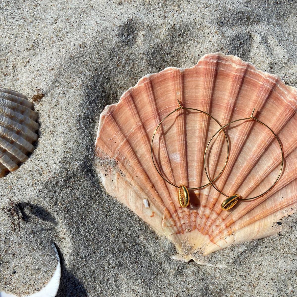 Kauri-Muschel Ohrringe in Muschel auf Sand liegend, sommerliche maritime Stimmung.