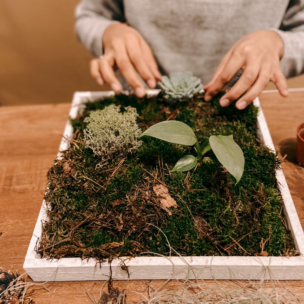 Person arrangiert Pflanzen in Rahmen – Pflanzenbild Workshop, Living Wall Frame, Firmenevent.
