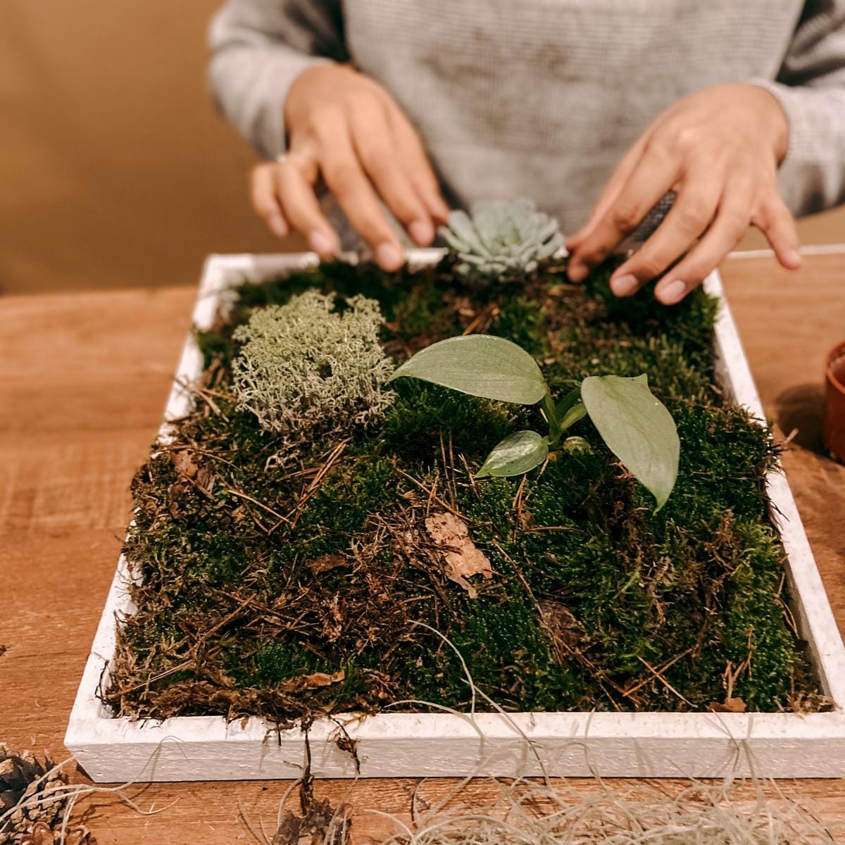 Person arrangiert Pflanzen in Rahmen – Pflanzenbild Workshop, Living Wall Frame, Firmenevent.