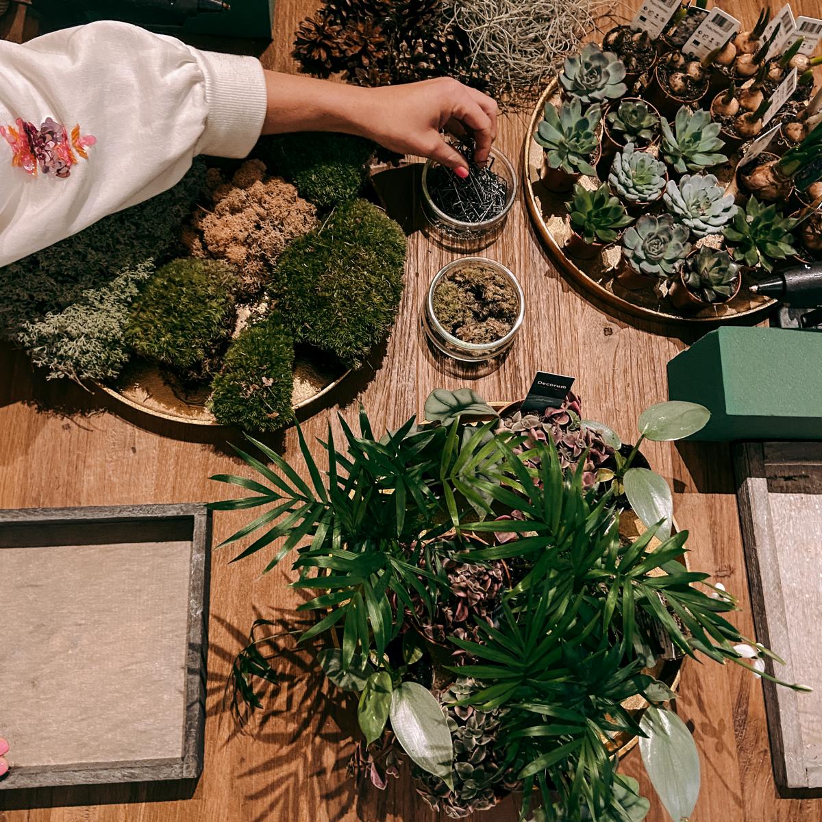 Hand steckt Materialien in Rahmen mit Pflanzen auf Tisch – Pflanzenbild Workshop, Living Wall Frame, Firmenevent.