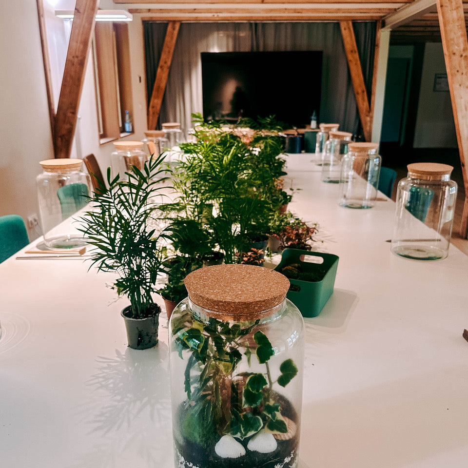 Materialien zum Flaschengarten Gestalten auf einem Tisch beim kreativen Workshop von GRIMMS GARTEN in Berlin