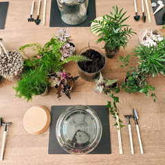 Arbeitsplatz Ansicht von der Decke für Flaschengarten Workshop mit Utensilien